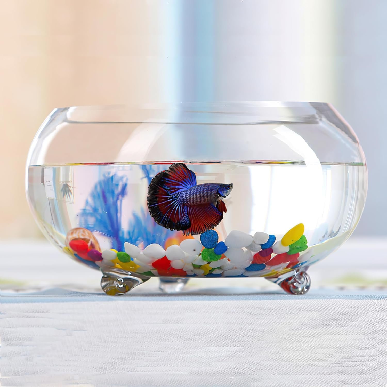 OEM 2 Gallon Glass Fish Tank Sturdy Betta Bowl for Small Ornamental Fish Reptiles High Transparency Viewing with Support Feet Factory