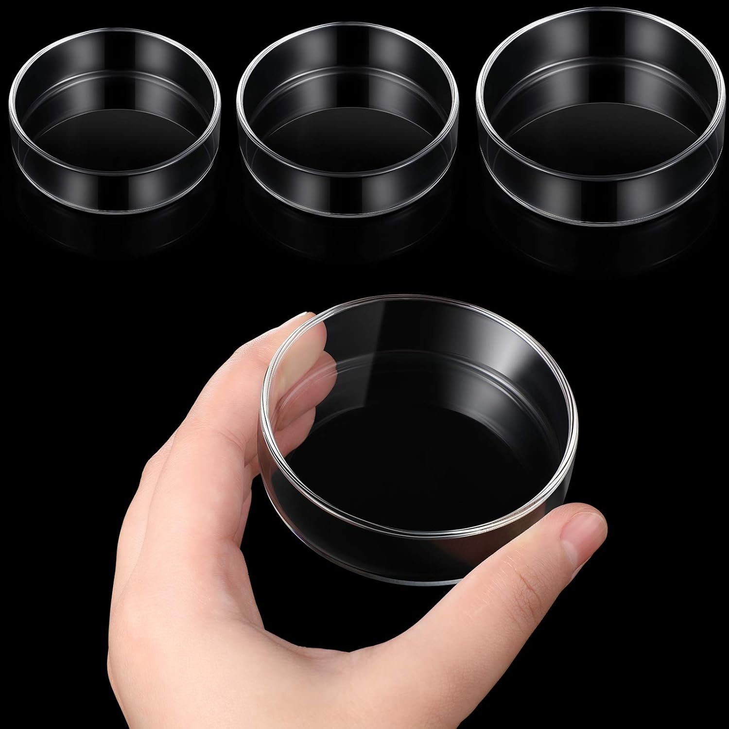 OEM 3 Pieces Clear Glass Aquarium Shrimp Feeding Dish Tray for Fish Tanks Freshwater 60mm 65mm 80mm Factory