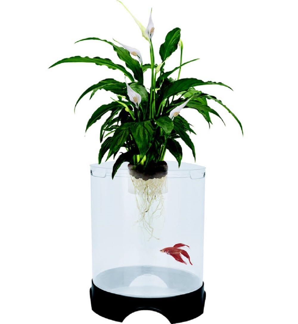 OEM Aquaponic Planter Aquarium for Betta Fish Hydroponic Tank Healthy Environment Plants Growth supplier