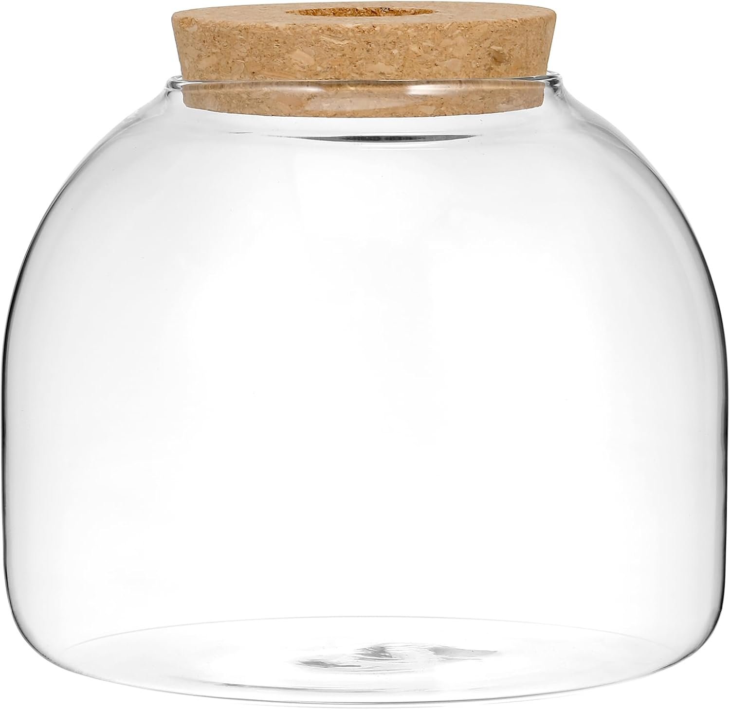 OEM Glass Plant Terrarium Cork Lid Micro Landscape Fish Bowl Vase Jar Air Plant Propagation Container for Succulents Home Decor Factory