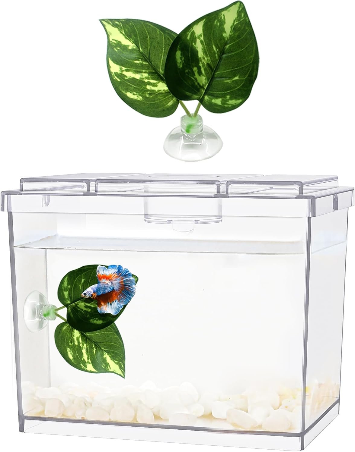 OEM Mini 0.2 Gallon Betta Fish Tank Stackable Cube Bowl Temporary Housing with Leaf Gravel for Small Fish Insects Shrimp Crabs Spiders (1 Pack) Factory OEM Mini 0.2 Gallon Betta Fish Tank Stackable Cube Bowl Temporary Housing with Leaf Gravel for Small Fish Insects Shrimp Crabs Spiders (1 Pack) Factory